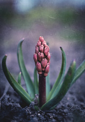 Similar image 21753584