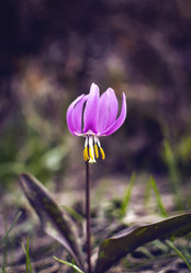 Similar image 21753585