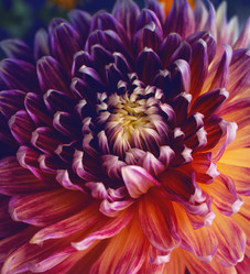 Similar image 21753587