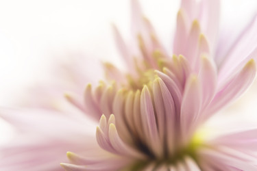 Similar image 21753590