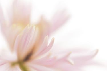 Similar image 21753591