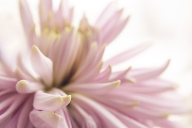 Similar image 21753592