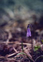 Similar image 21753594