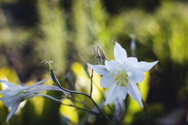 Similar image 21753596