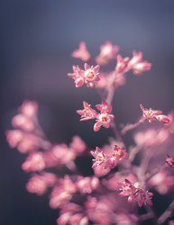 Similar image 21753597