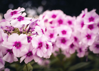 Similar image 21753600