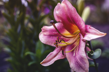 Similar image 21753603