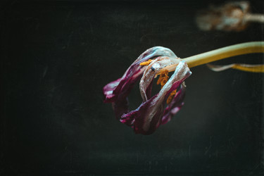 Similar image 21753604