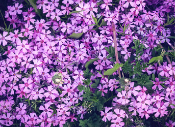 Similar image 21753606