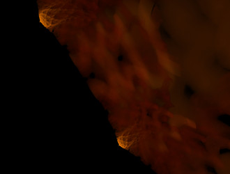 Similar image 21760024