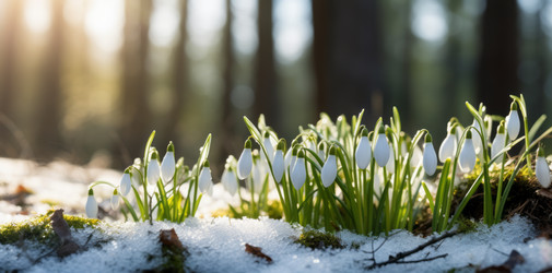 Similar image 21753610