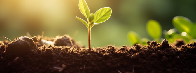 Similar image 21753616