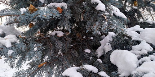 Similar image 21760512