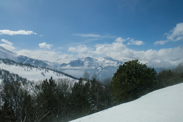 Similar image 21762898