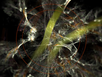 Similar image 21760041