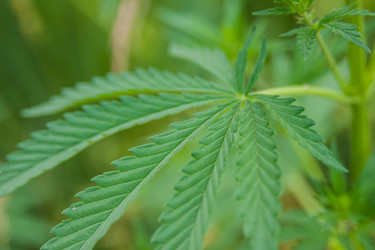 Similar image 21756834