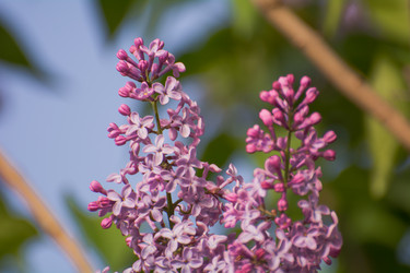 Similar image 21756837