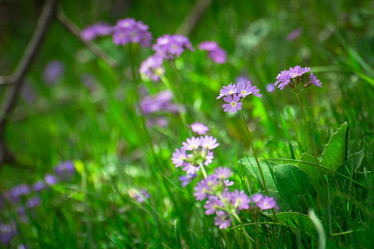 Similar image 21756838