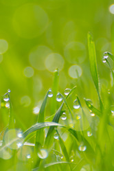 Similar image 21756842