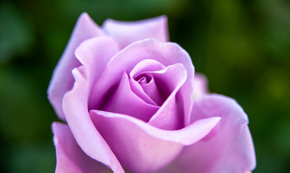 Similar image 21756845