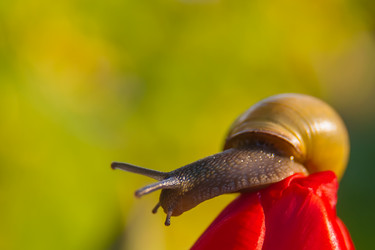 Similar image 21756847