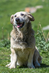 Similar image 21756848