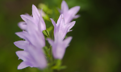 Similar image 21756850