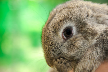 Similar image 21756851