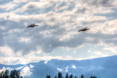 Similar image 21756853