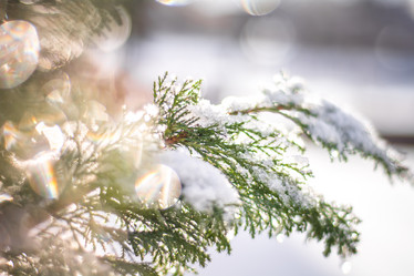 Similar image 21756857