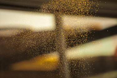 Similar image 21756858