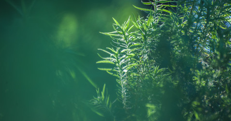 Similar image 21756859