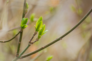 Similar image 21756862