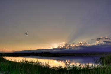 Similar image 21756864