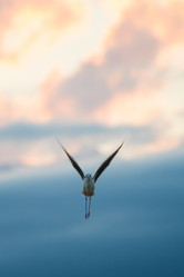 Similar image 21756865