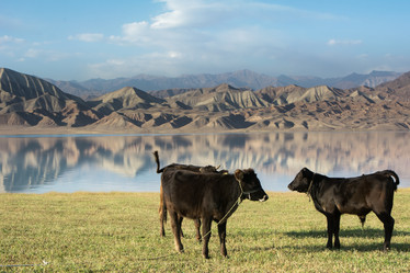 Similar image 21756867