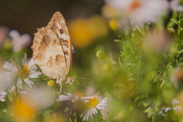 Similar image 21756870