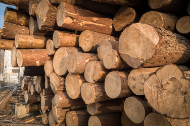 Similar image 21758637