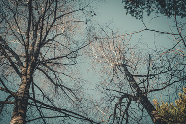 Similar image 21760220