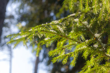 Similar image 21761027