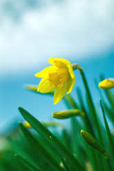 Similar image 21757581