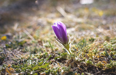 Similar image 21757582