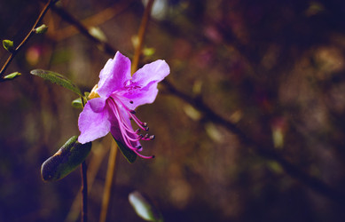 Similar image 21757583