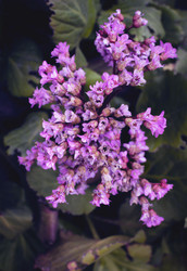 Similar image 21757585