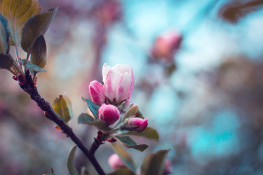 Similar image 21757586