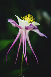 Similar image 21757587