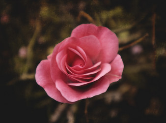 Similar image 21757589