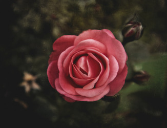 Similar image 21757590