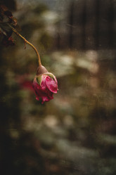 Similar image 21757593