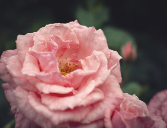 Similar image 21757595